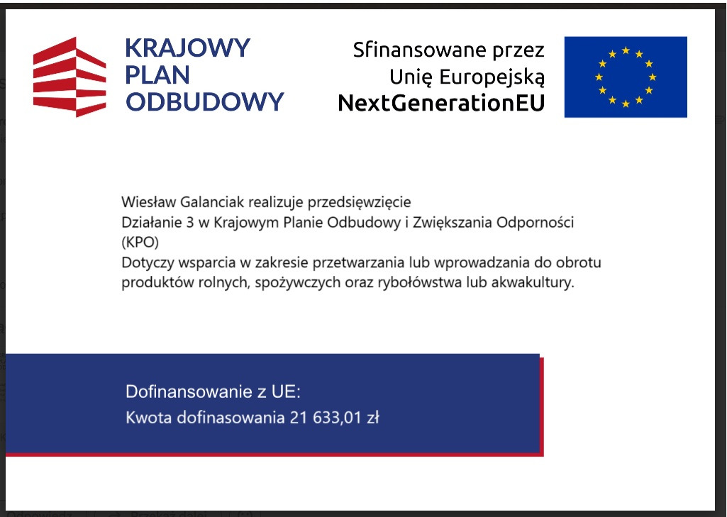 Otrzymaliśmy dofinasownie na rozwój naszej oferty!